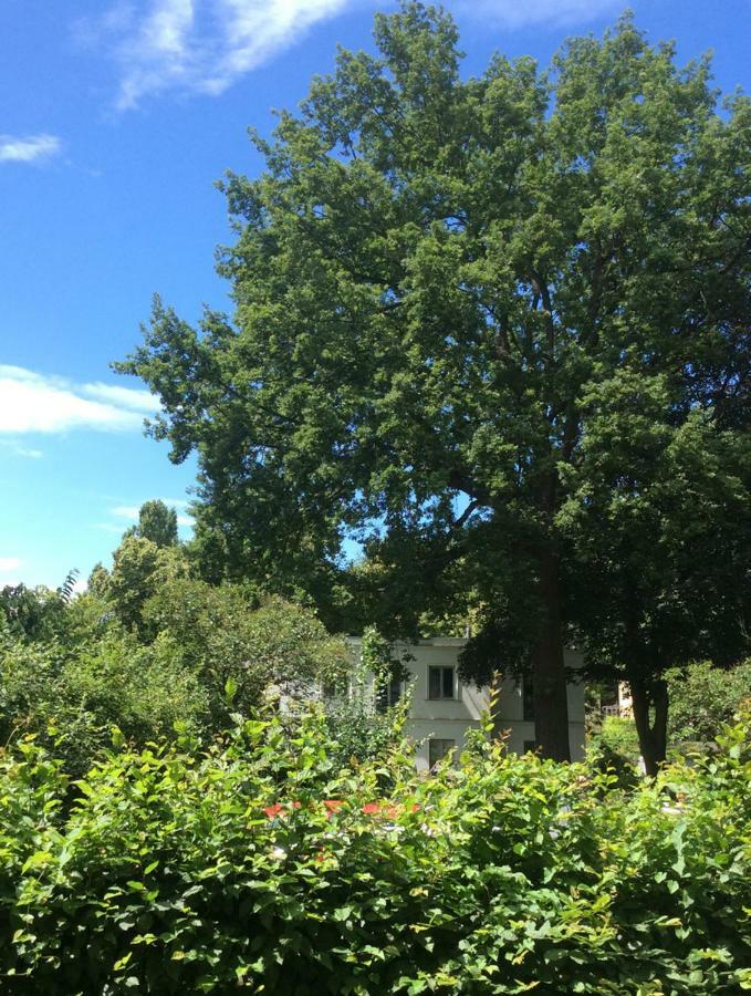 Apartment with Terrace,864750257:JPEG